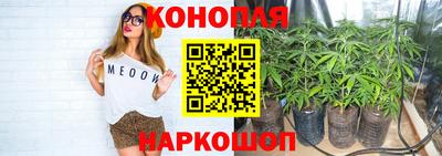 гидра Краснокаменск