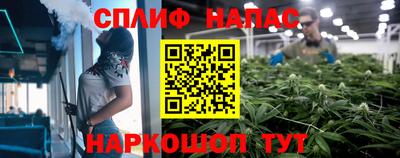 гашик Кулебаки