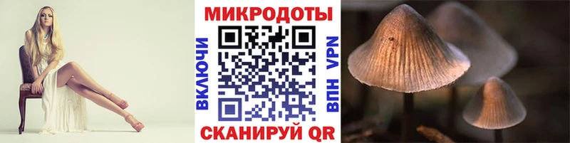 сколько стоит  Рубцовск  Галлюциногенные грибы Psilocybine cubensis 