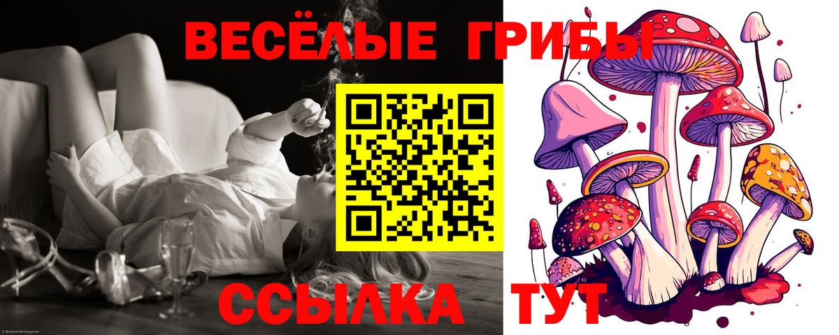 Рубцовск  Галлюциногенные грибы Psilocybine cubensis  Галлюциногенные грибы мухоморы  Вход с VPN 