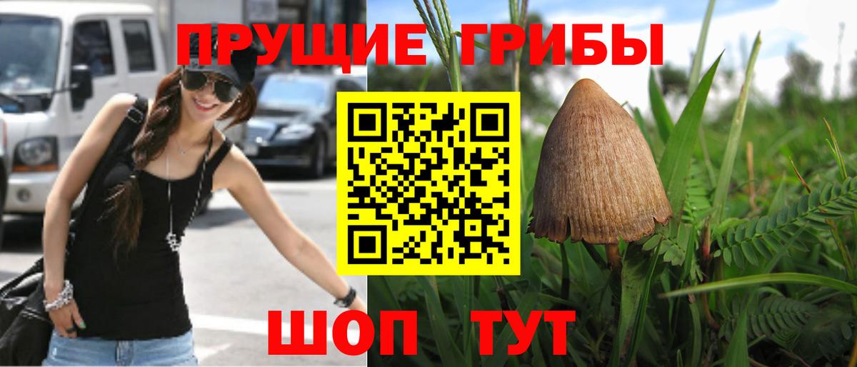 Галлюциногенные грибы Cubensis Рубцовск